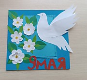 Голубь мира.   Крохмаль Елизавета
